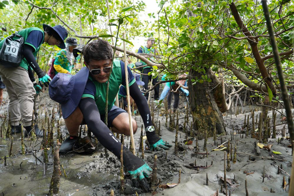 Manulife Philippines President and CEO Rahul Hora during a mangrove planting activity